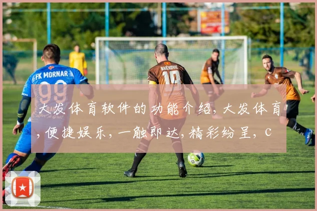 大发体育软件的功能介绍,大发体育,便捷娱乐,一触即达,精彩纷呈, commas,乐趣无边