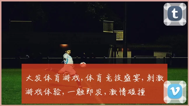 大发体育游戏,体育竞技盛宴,刺激游戏体验,一触即发,激情碰撞