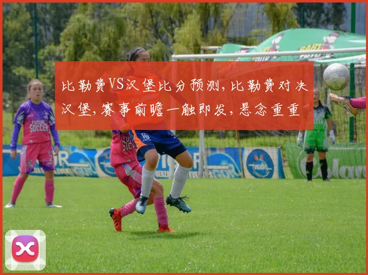 比勒费VS汉堡比分预测,比勒费对决汉堡,赛事前瞻一触即发,悬念重重